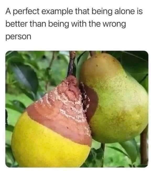1bpizM5.jpeg