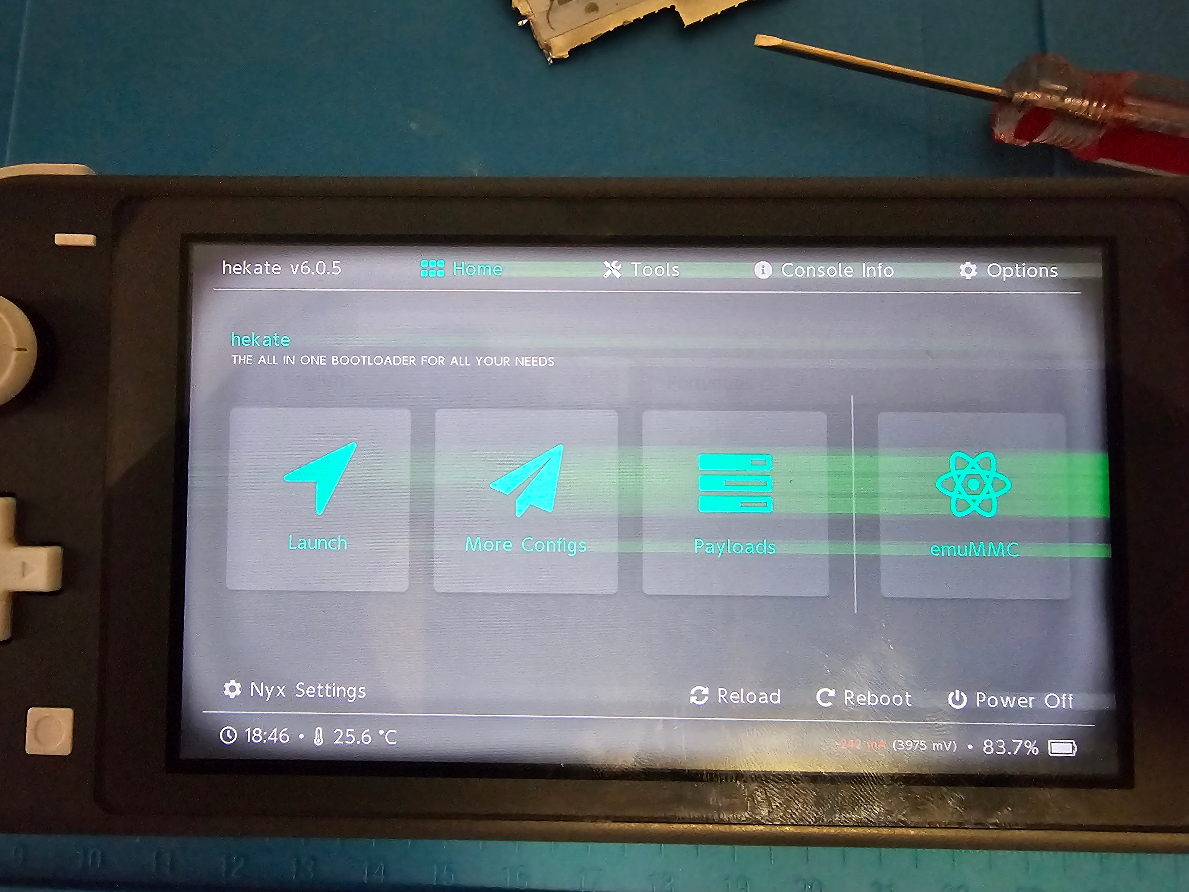 Graohical issue after HWFLY install on switch lite | GBAtemp.net - The  Independent Video Game Community