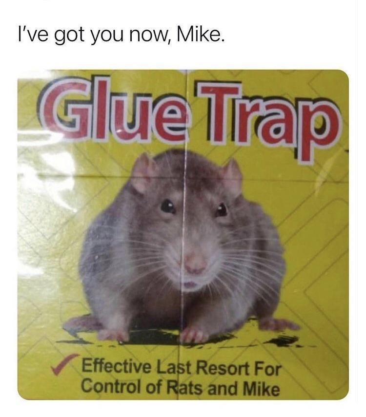 3te2HL7.jpg