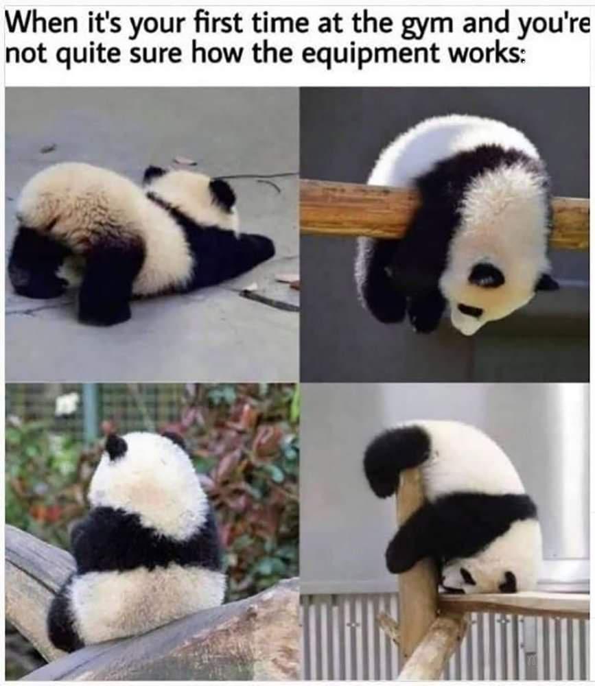 44KgcOE.jpg