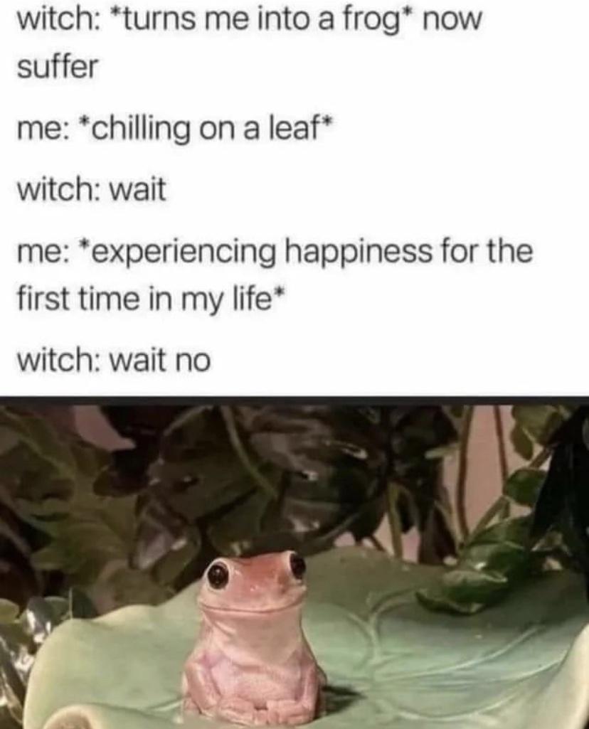 542EcHD.jpeg