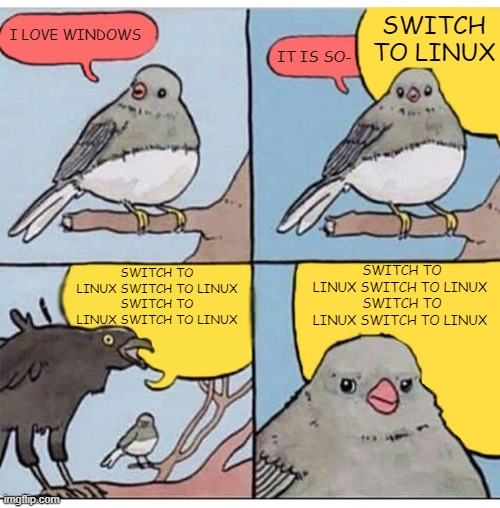 5jouxv.jpg