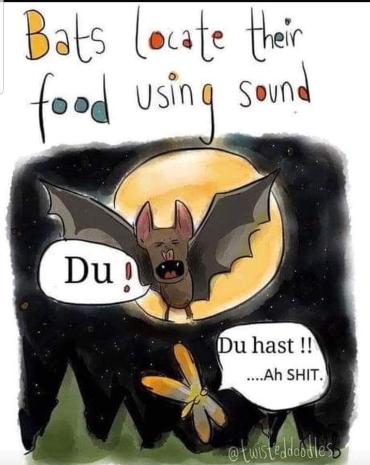 5vVej2W.png