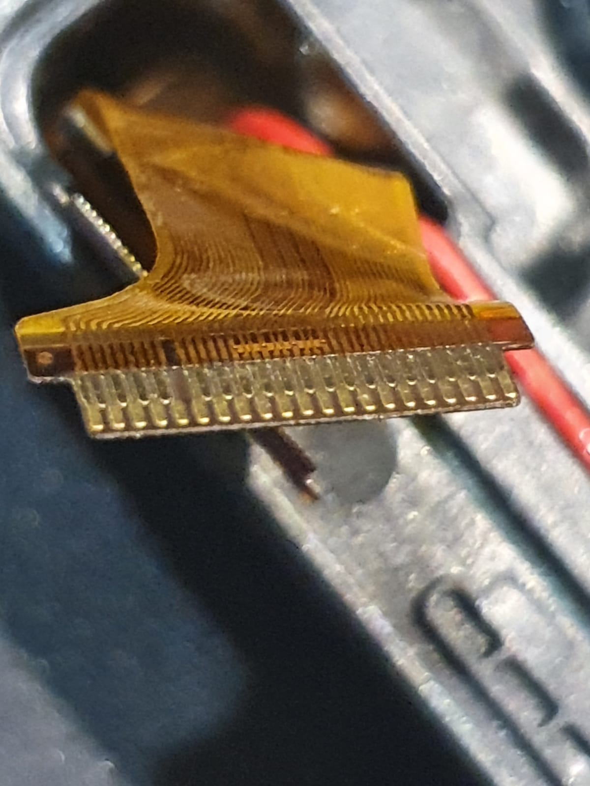 6.jpeg