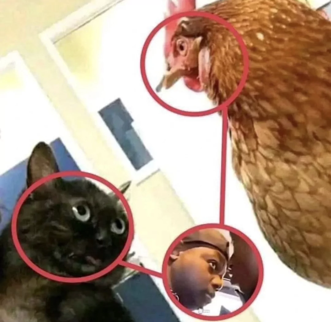 6580573a5c5e9.png