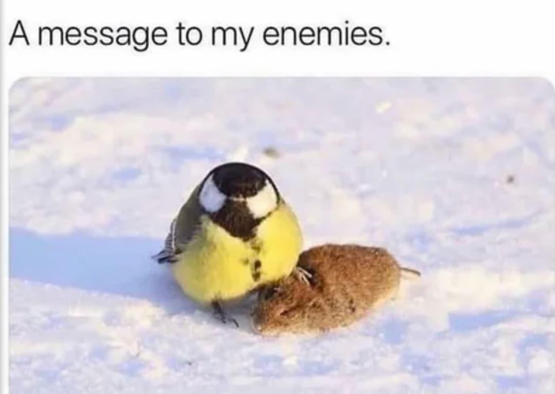 65lYDGZ.jpg