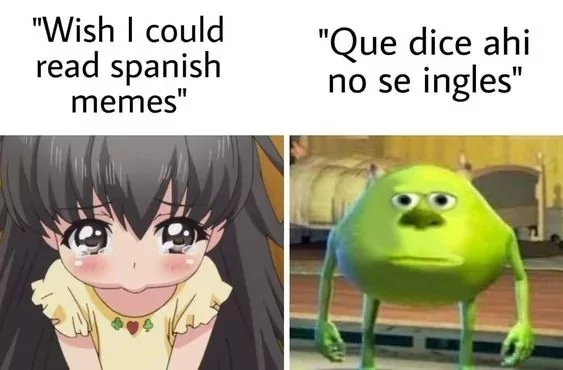 666dea71e6dc5.png