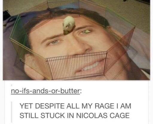 7ce.png
