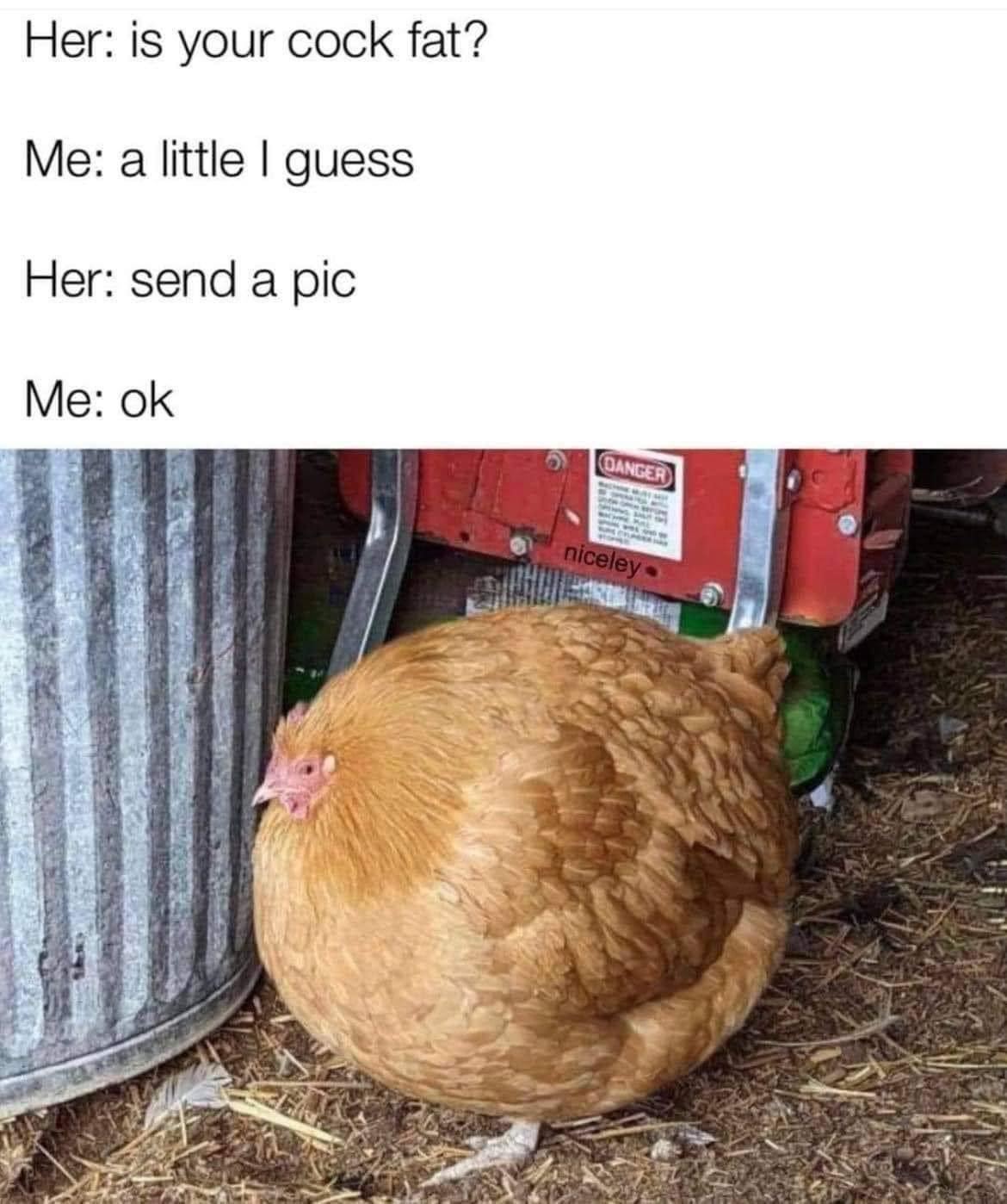 7hSsilc.jpeg