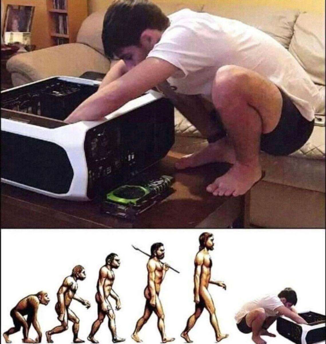 7n0plzgowtwe1.jpeg