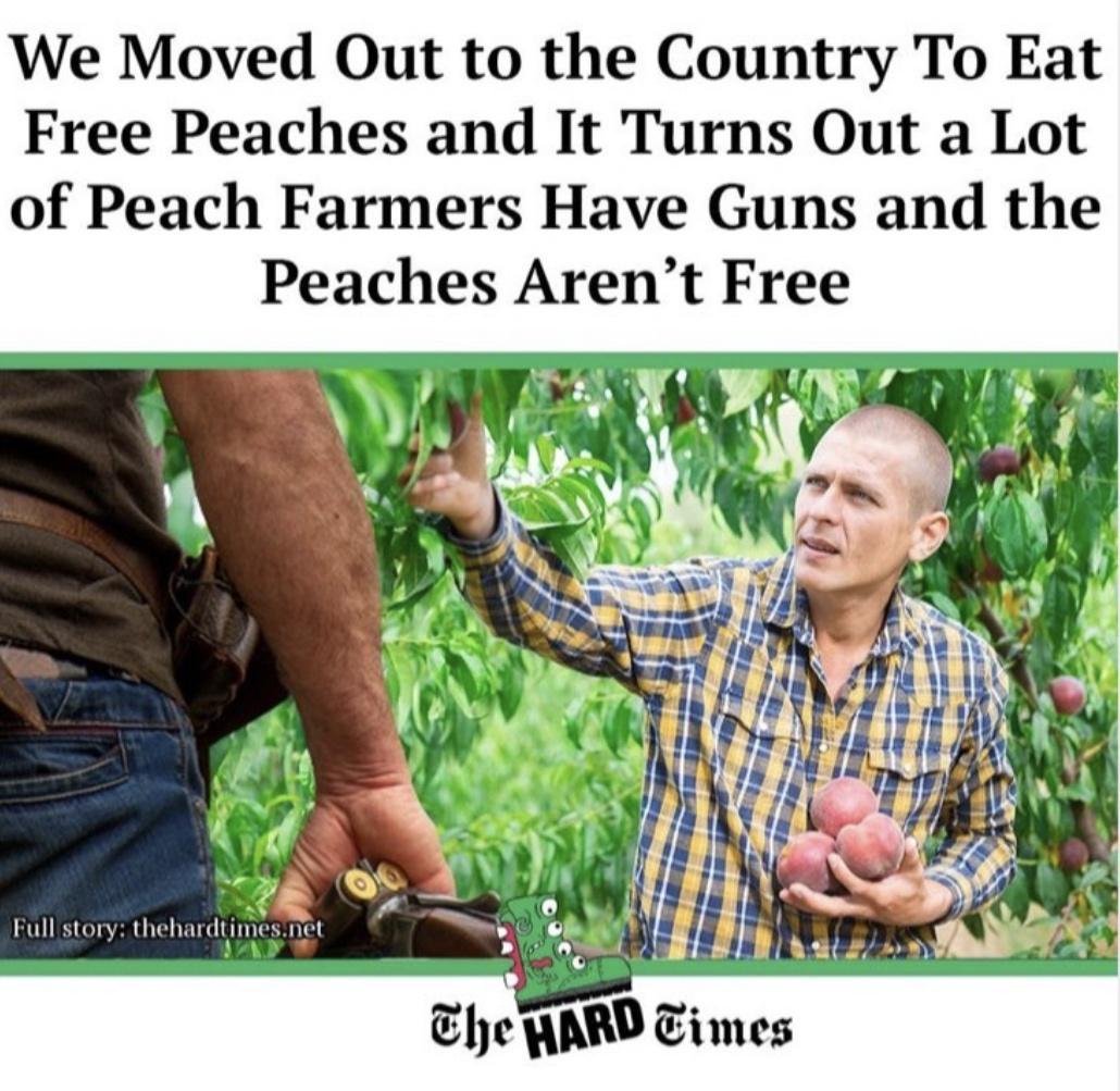 80I4nJN.jpg