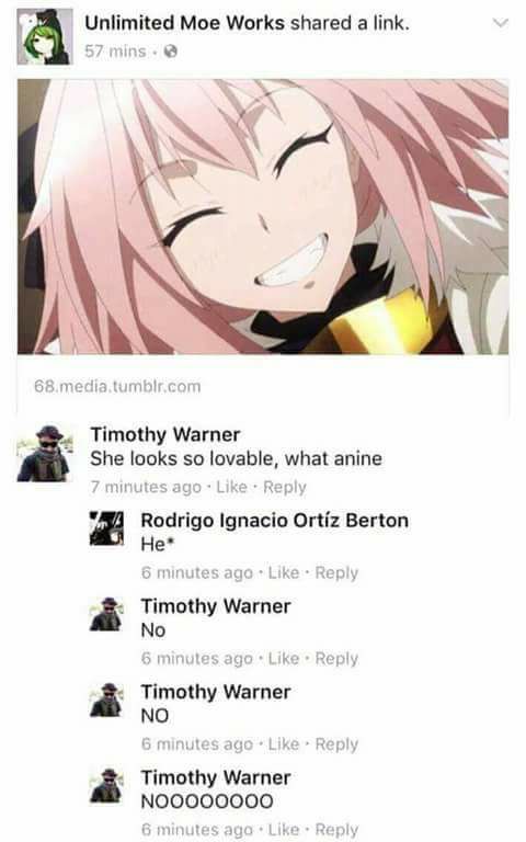 9ed.jpg