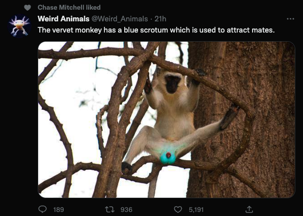 9HBlg7P.png