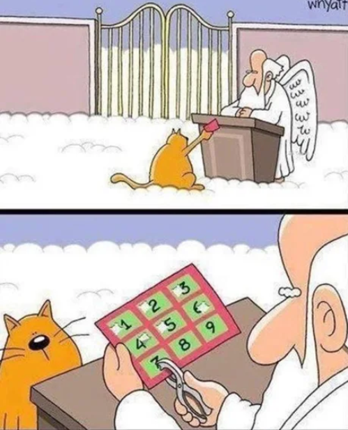 9lives.png