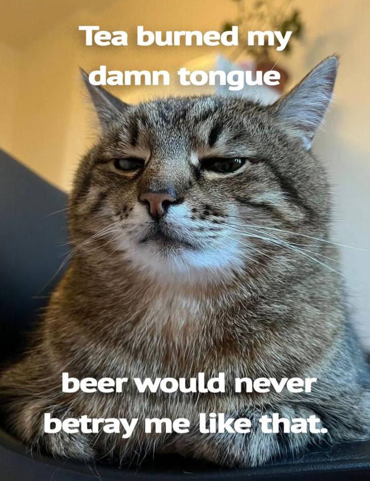 a9xlobgzvc0f1.jpeg