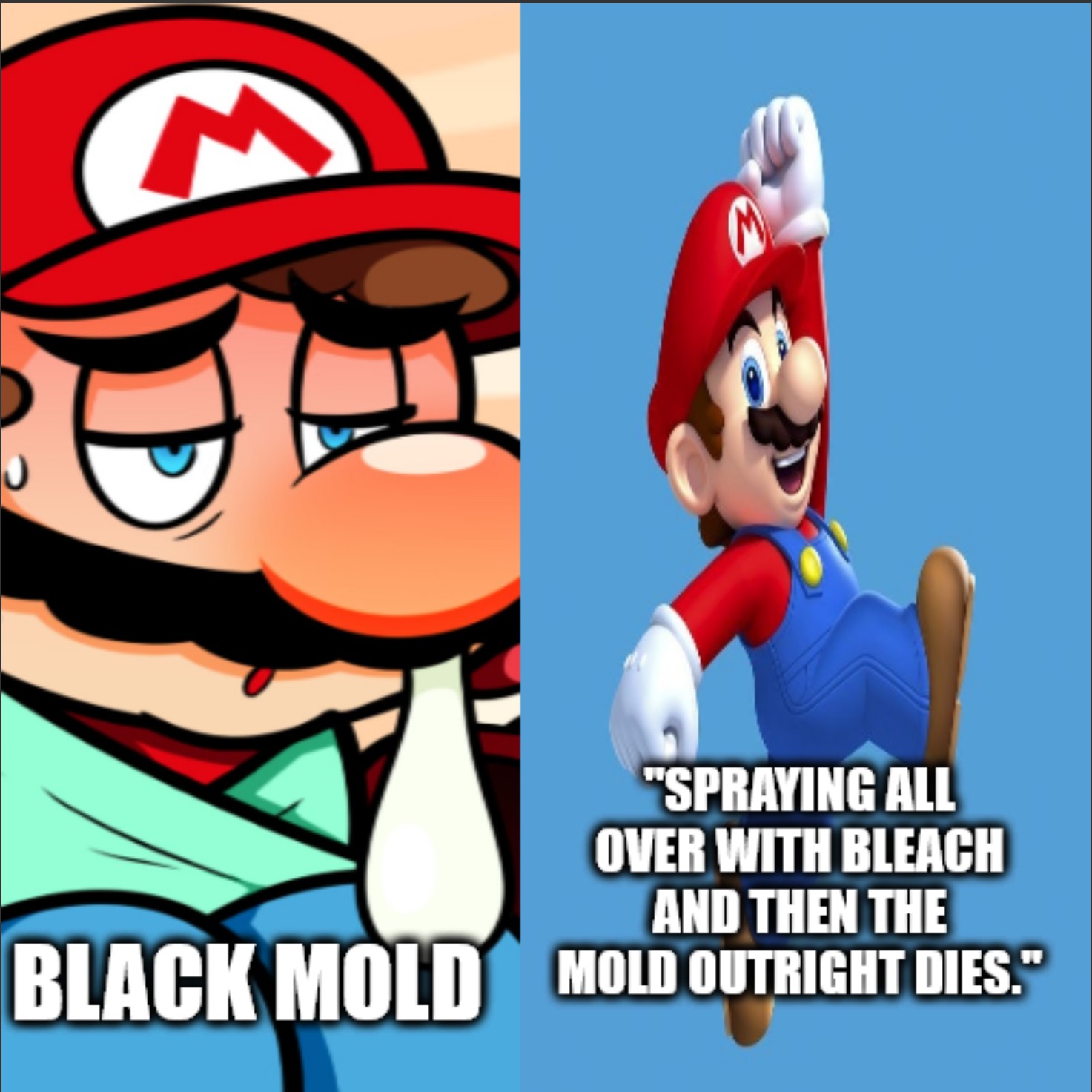 ace.jpg