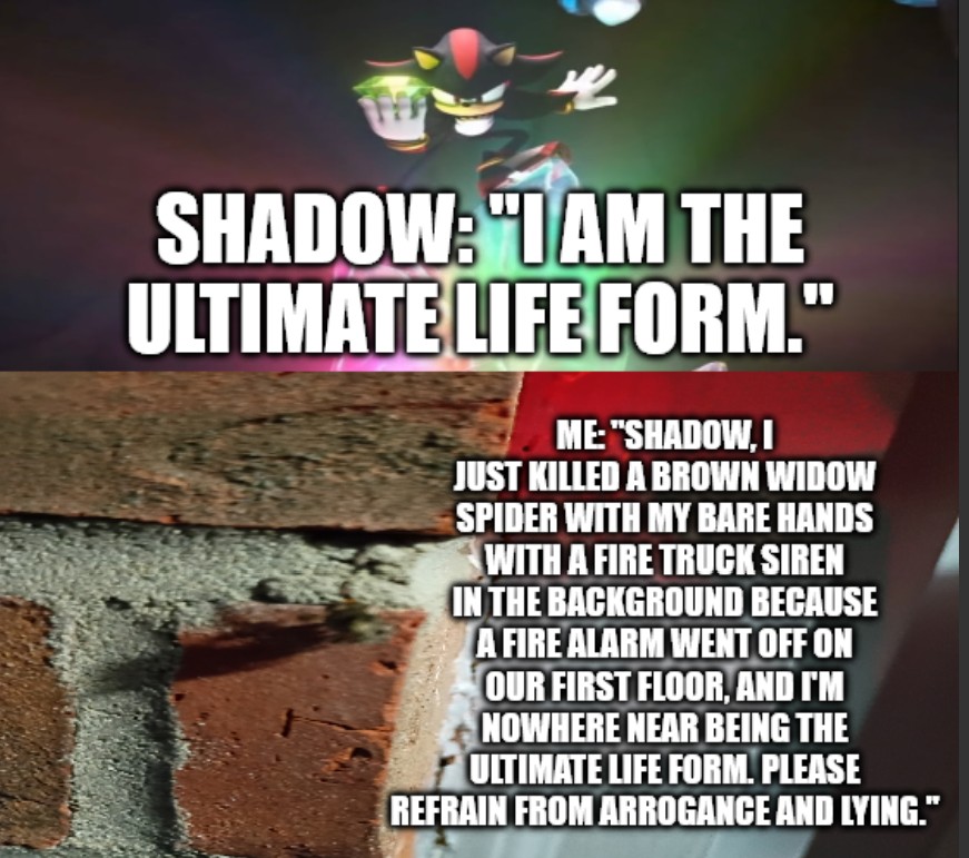 ace.jpg