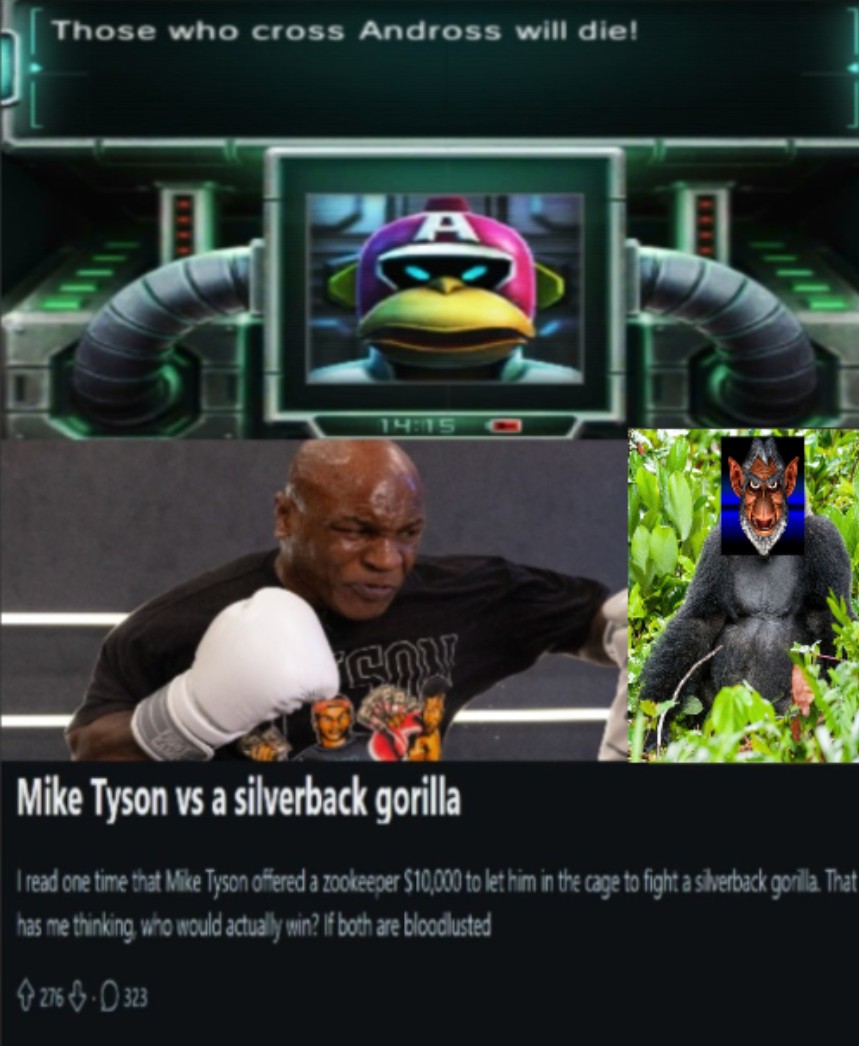 acerup.jpg
