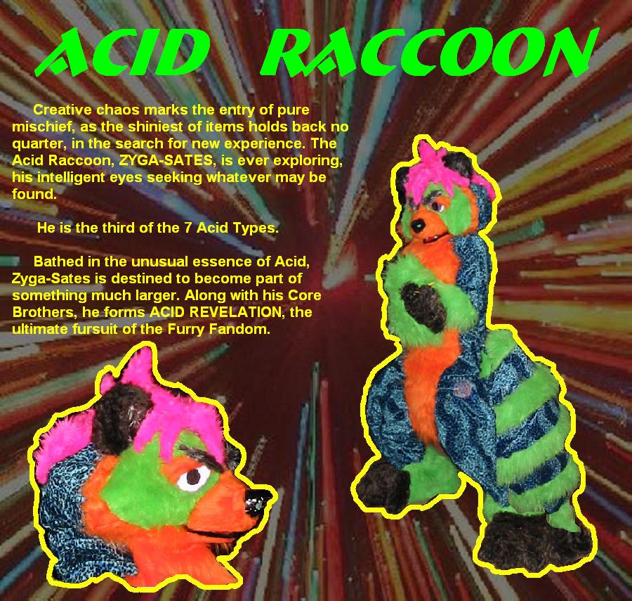 Acid Raccoon775.jpg