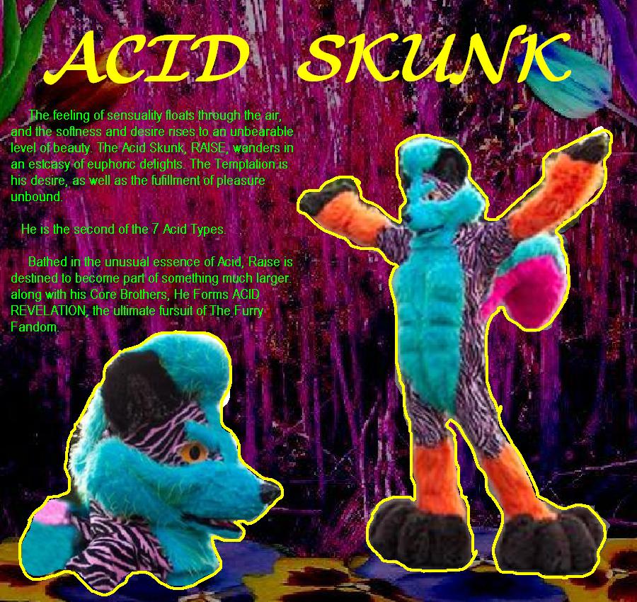 Acid Skunk772.jpg