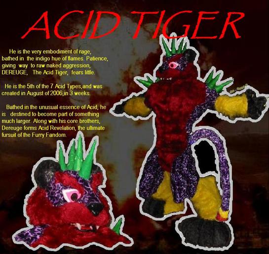 Acid Tiger2464.jpg