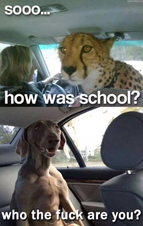 ad1rqqbdtxtf1.jpeg
