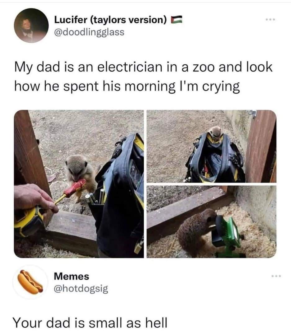 agkmpAw.jpeg