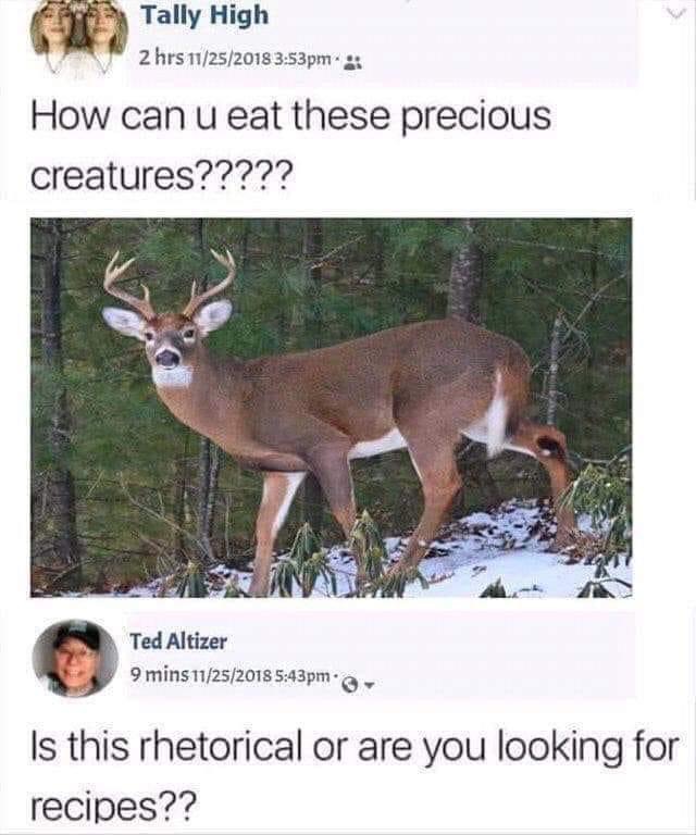 animal.jpg