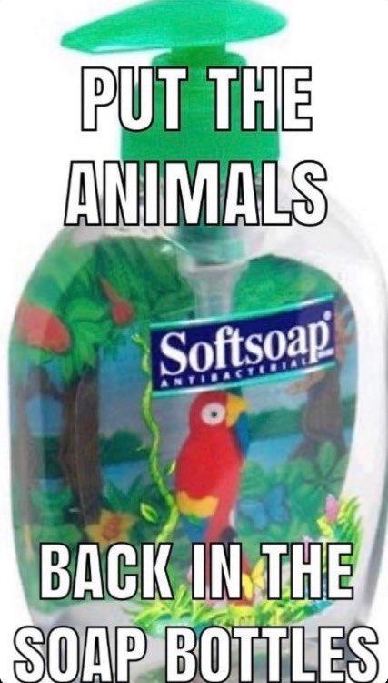 animals.jpg