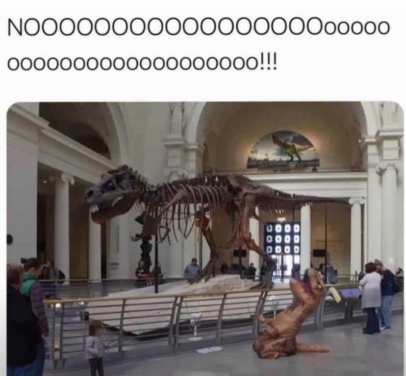 ape.jpg