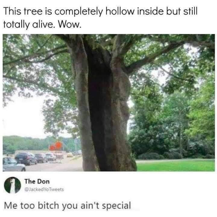 awKtyX0.jpeg