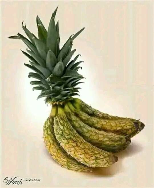 bananas.jpg