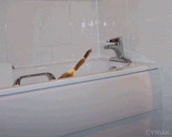 bathspider.gif