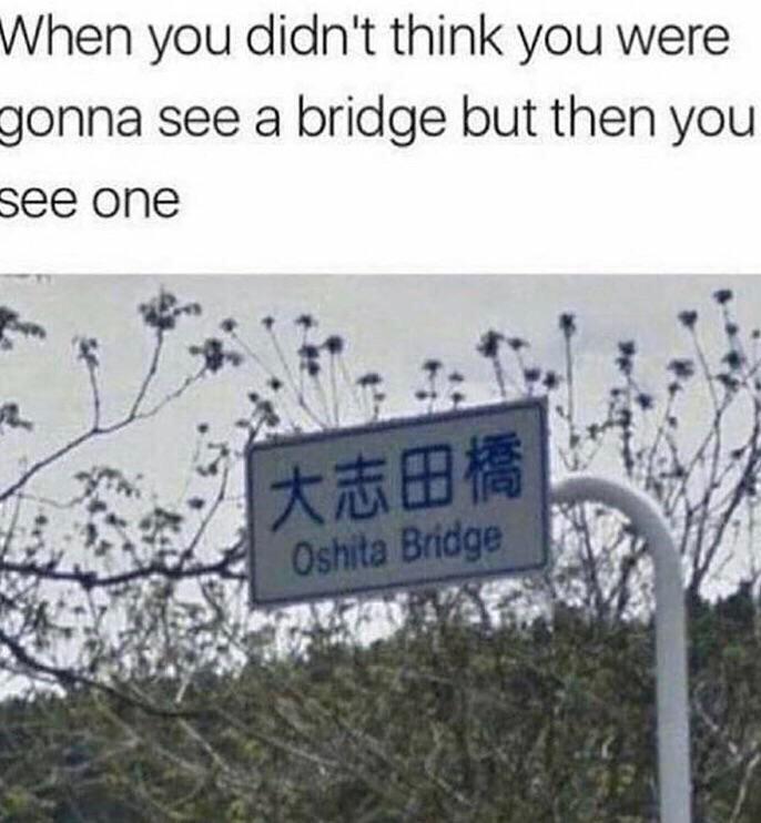 bbc028c.jpg