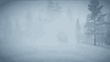 blizz-storm.gif