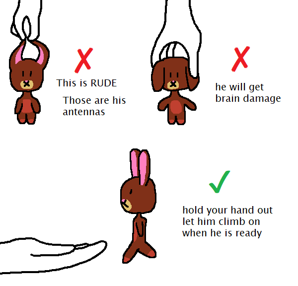 bnuuy.png