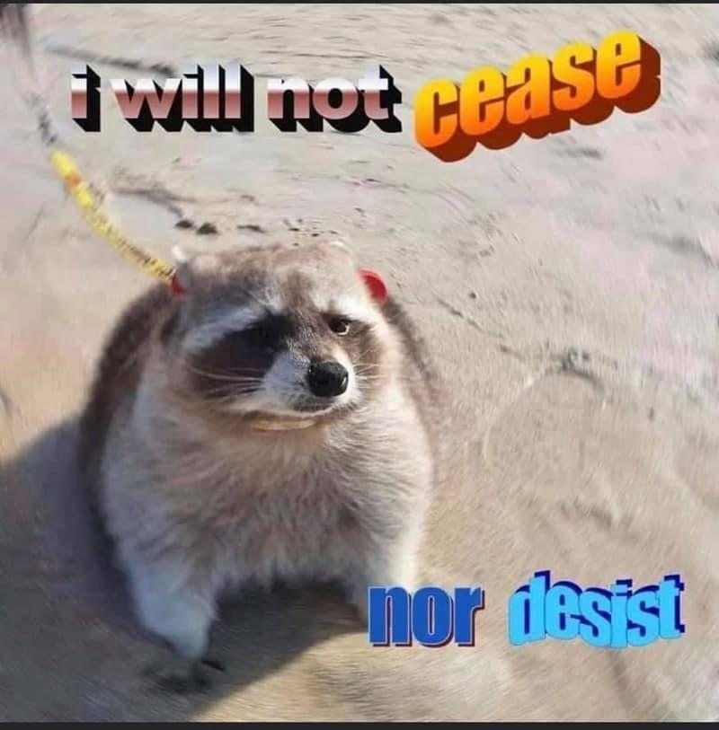 cad.jpeg