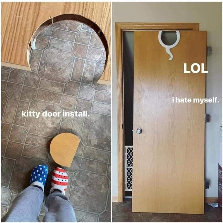 cat door.jpg