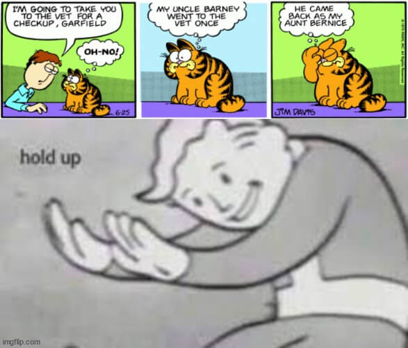 cat-hold-up-meme.jpeg