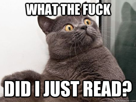 cat.jpg