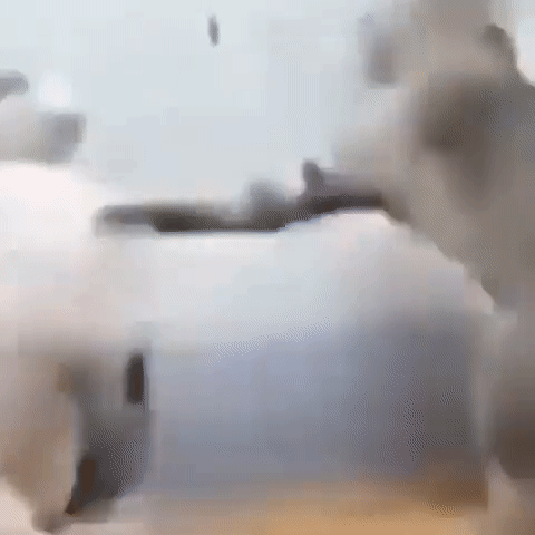 cat.png