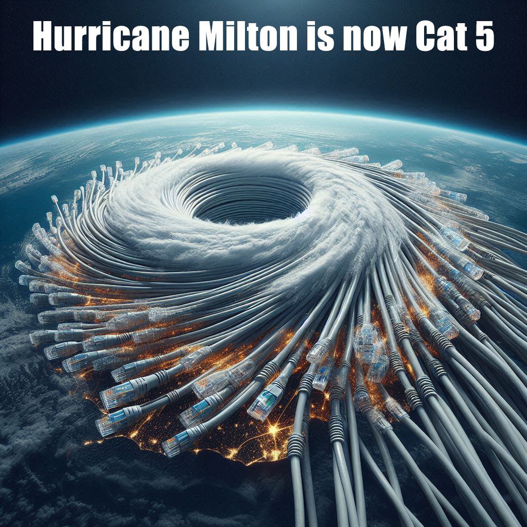cat5.jpg