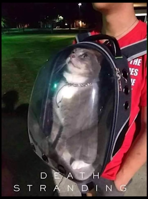 CatBackPack.png