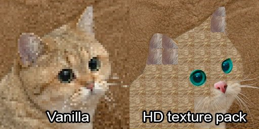 cathd.png