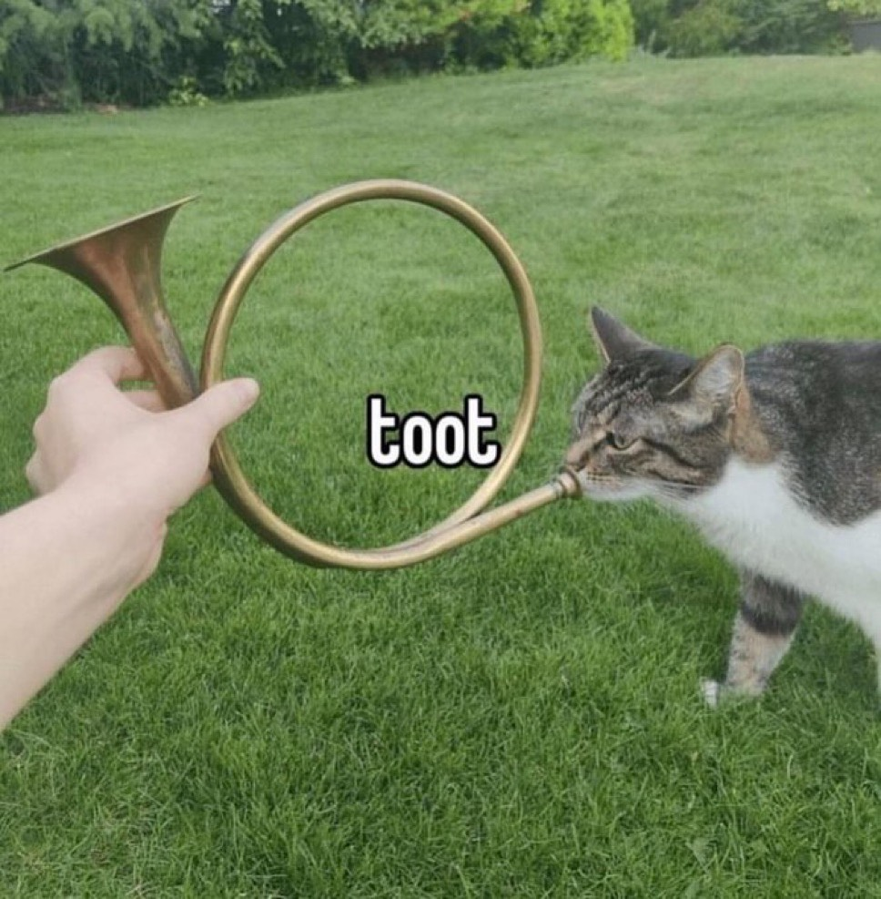 cathorn.png