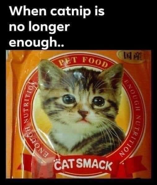 catnip-is-no-longer-enough-pet-food-enough-nutrition-enough-cat-smack-nutrition.jpeg
