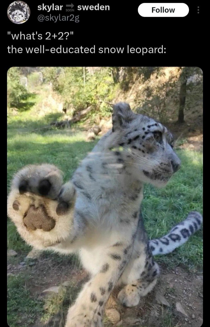 cato.jpg