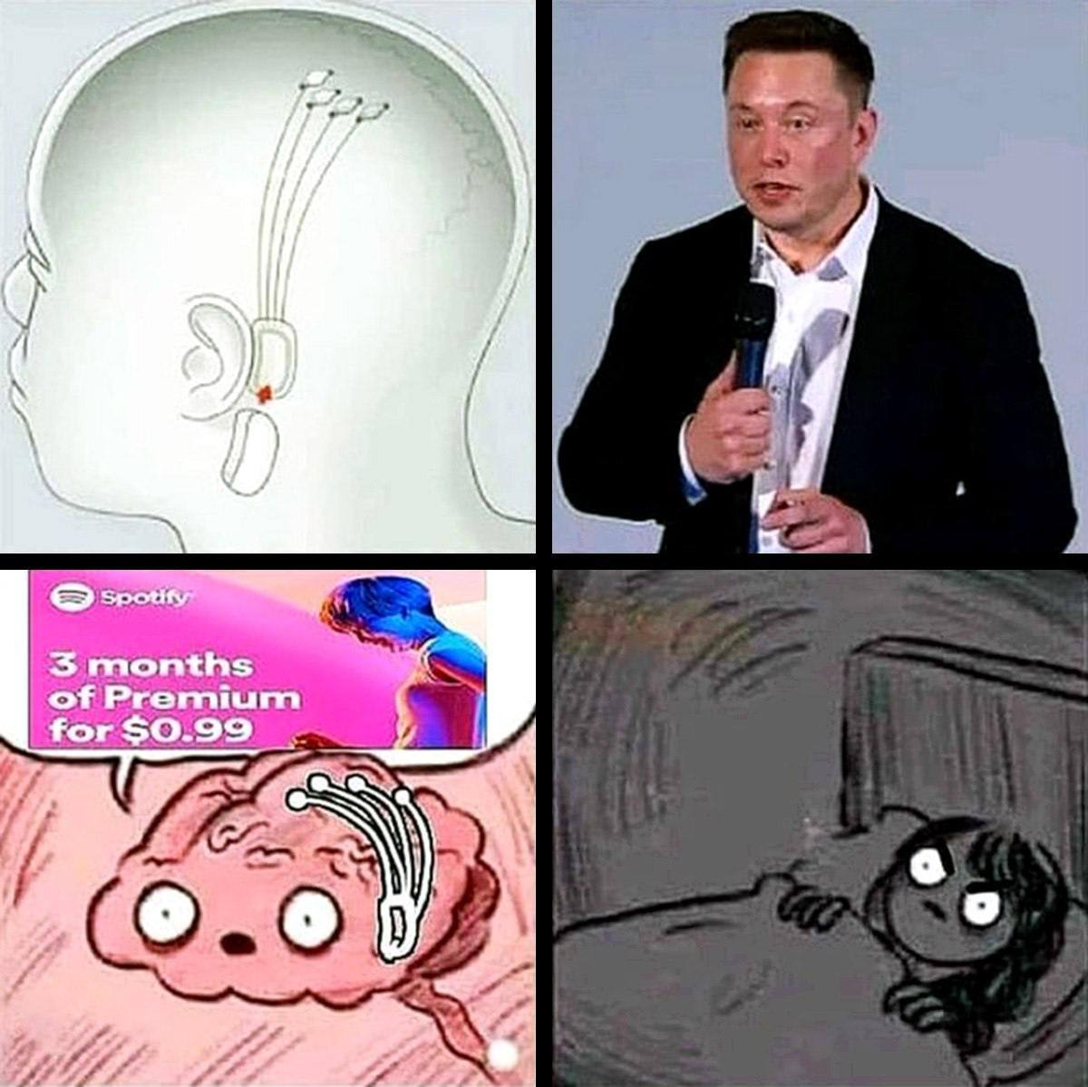 cerebra.jpg