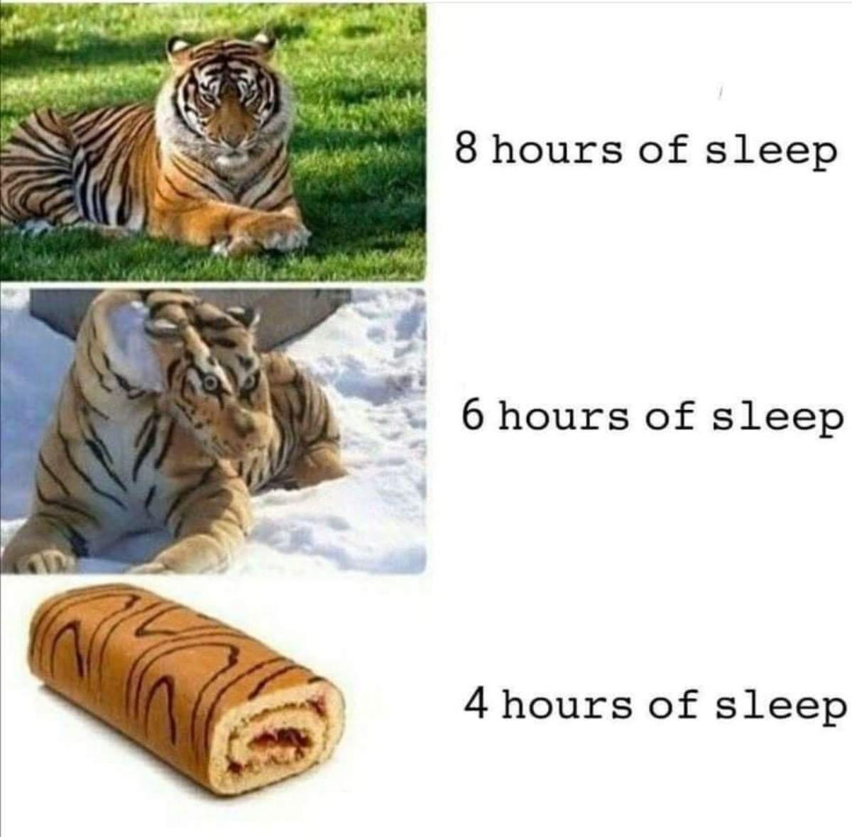 cgbOZ8V.jpeg