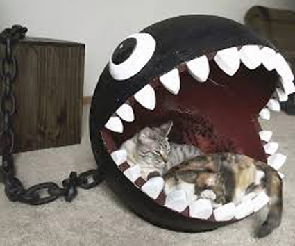 ChainChompCatBed.jpg